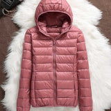 North - Waterproof Jacket