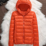 North - Waterproof Jacket