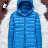 North - Waterproof Jacket